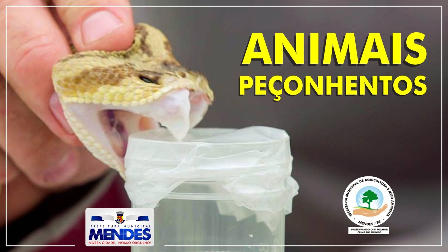 animais_peconhentos.jpg